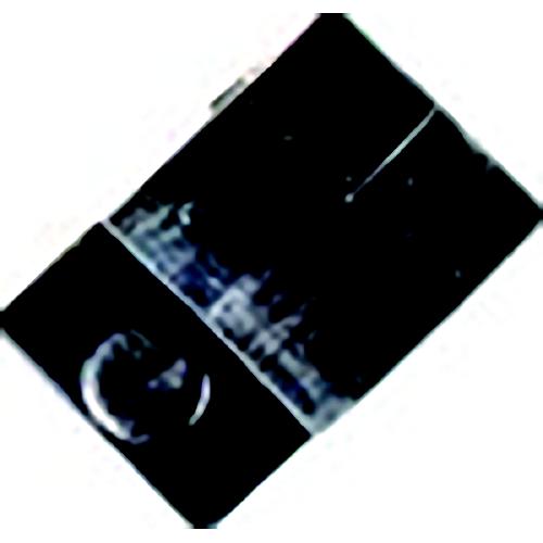 Sea-Dog 2736701 Canvas Stud Clip, Nylon Windshield Canvas Stud Clip - 273670-1 - 354-2736701F1