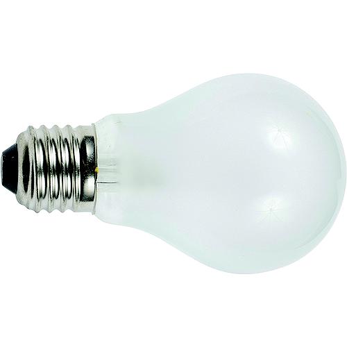 Ancor Light Bulb, Medium Screw Standard Base (2 Per Pack) - 531025 - 639-531025F1