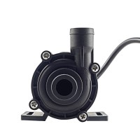 CWR2/97857DXL