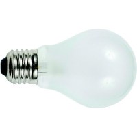 Ancor Light Bulb, Medium Screw Standard Base (2 Per Pack) - 531025 - 639-531025F1
